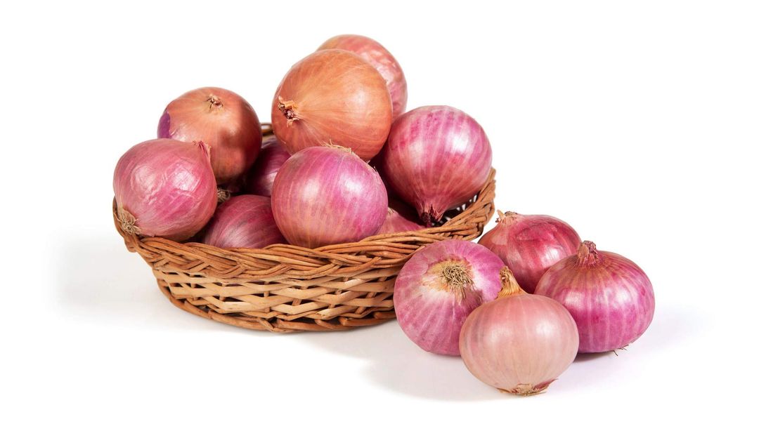 Onion (india)