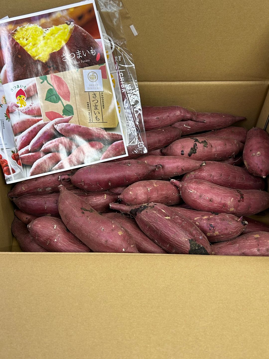 500G Japanese Beni Haruka Yellow Sweet Potato