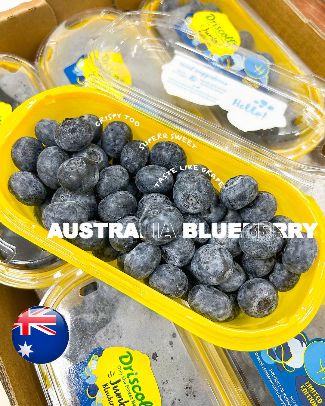 200G Australia Driscoll Jumbo Blueberry 