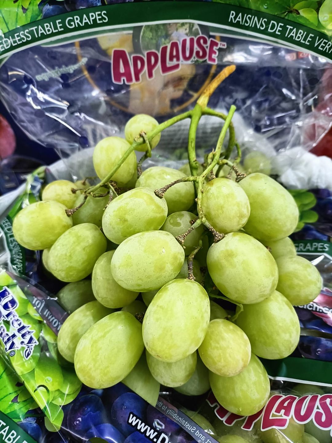 USA AUTUMNCRISP® Seedless Grapes (PRETTY Lady)