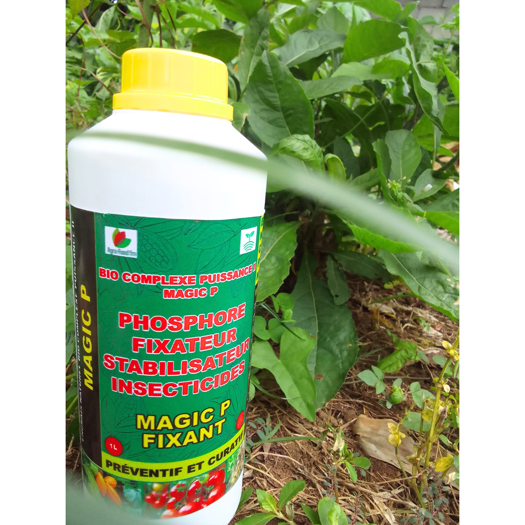 🌱💧 Bio Complexe MAGIC P - Fixateur - Stabilisateur  (1L)