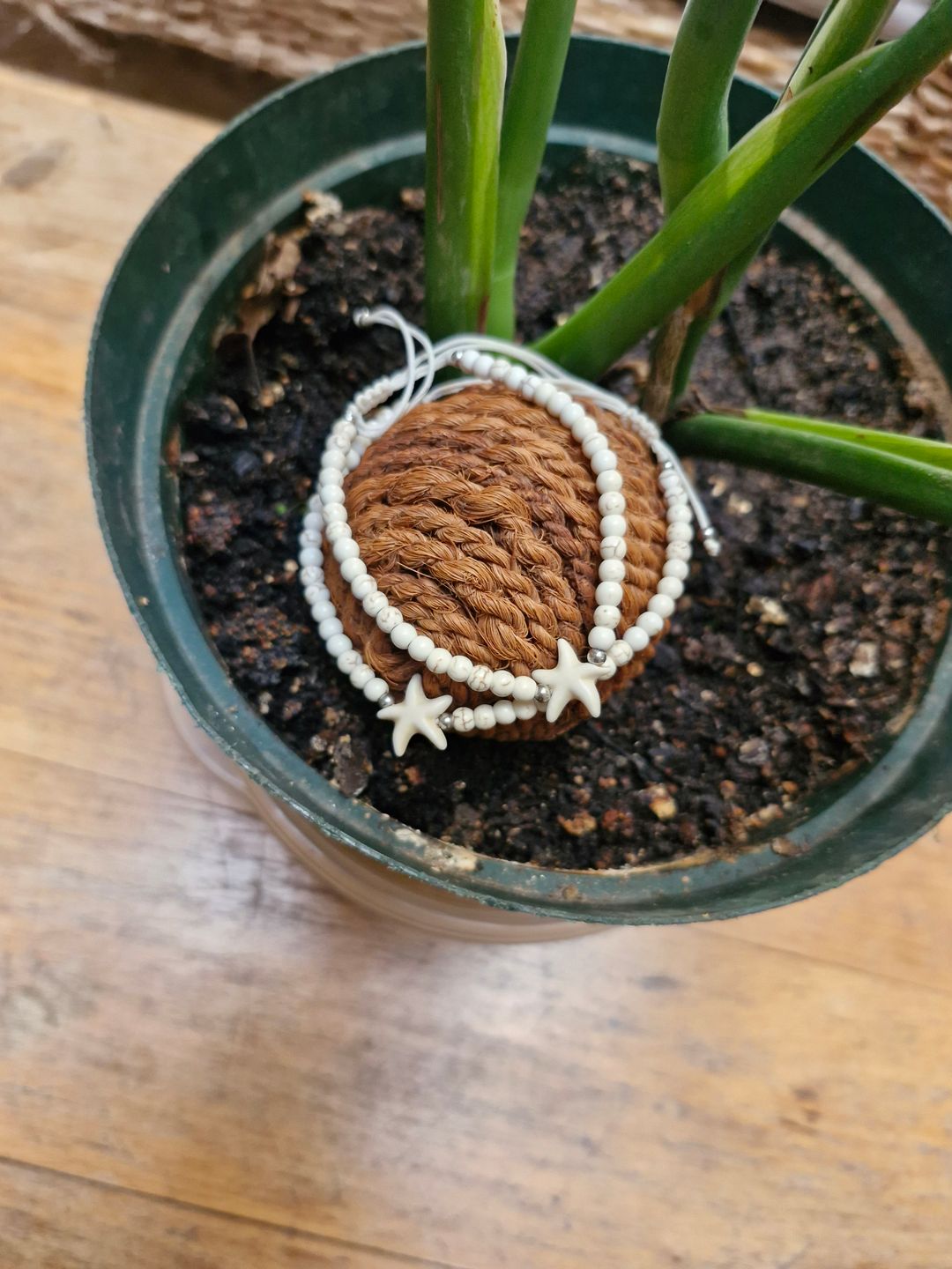 Starfish bracelet 