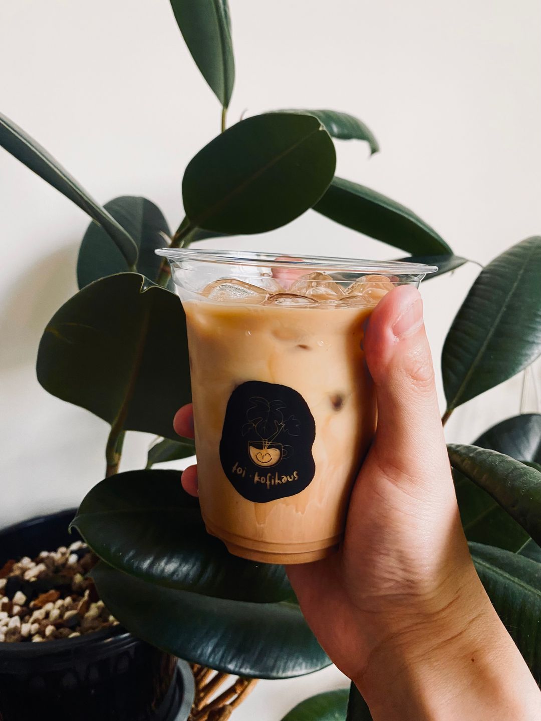 🆕 Iced HoneySpresso Latté