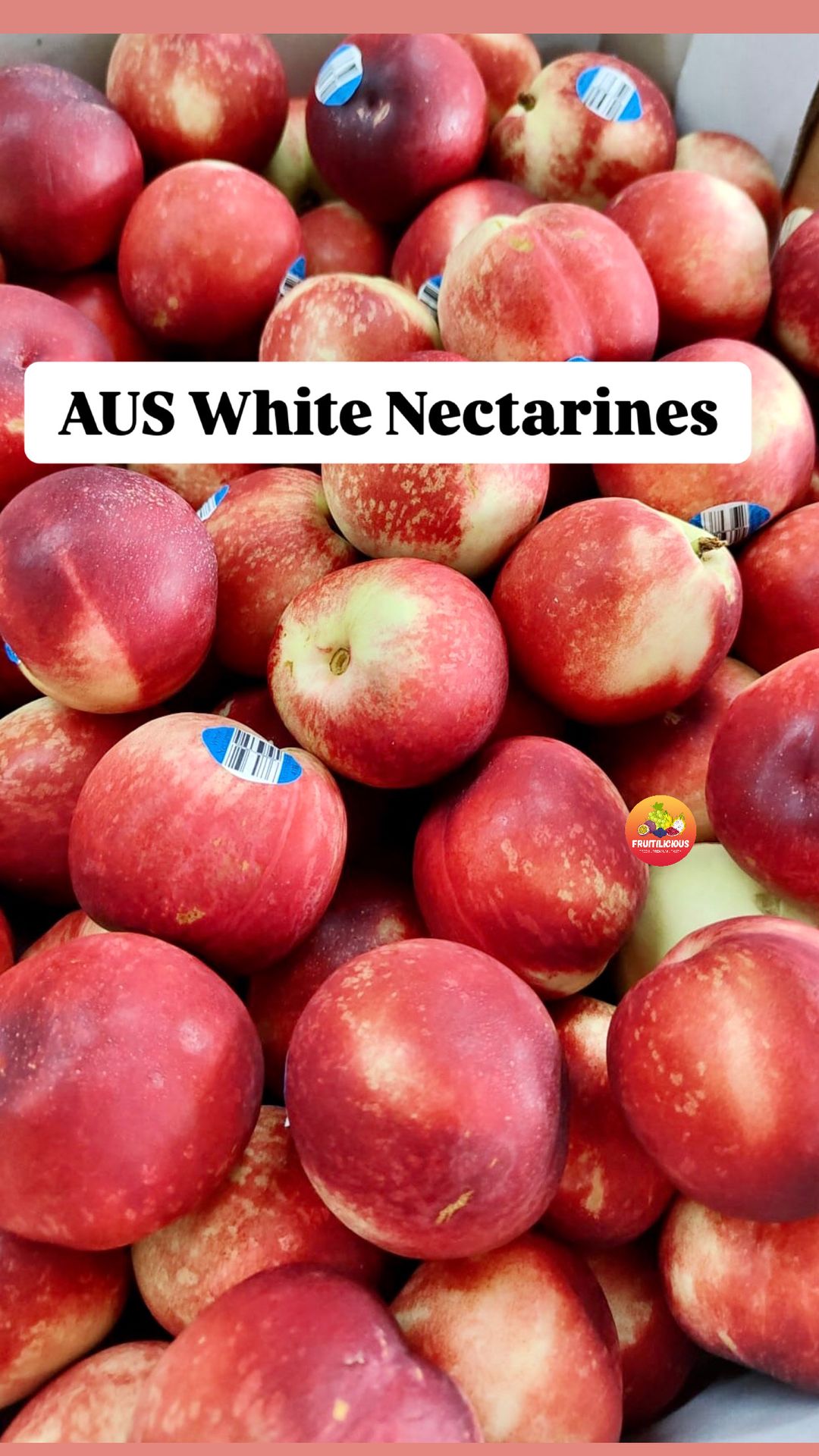 AUS WHITE NECTARINES