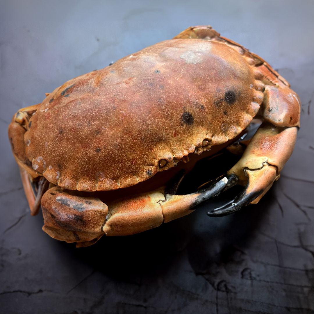 Premium French Crab - 800g to 1kg 