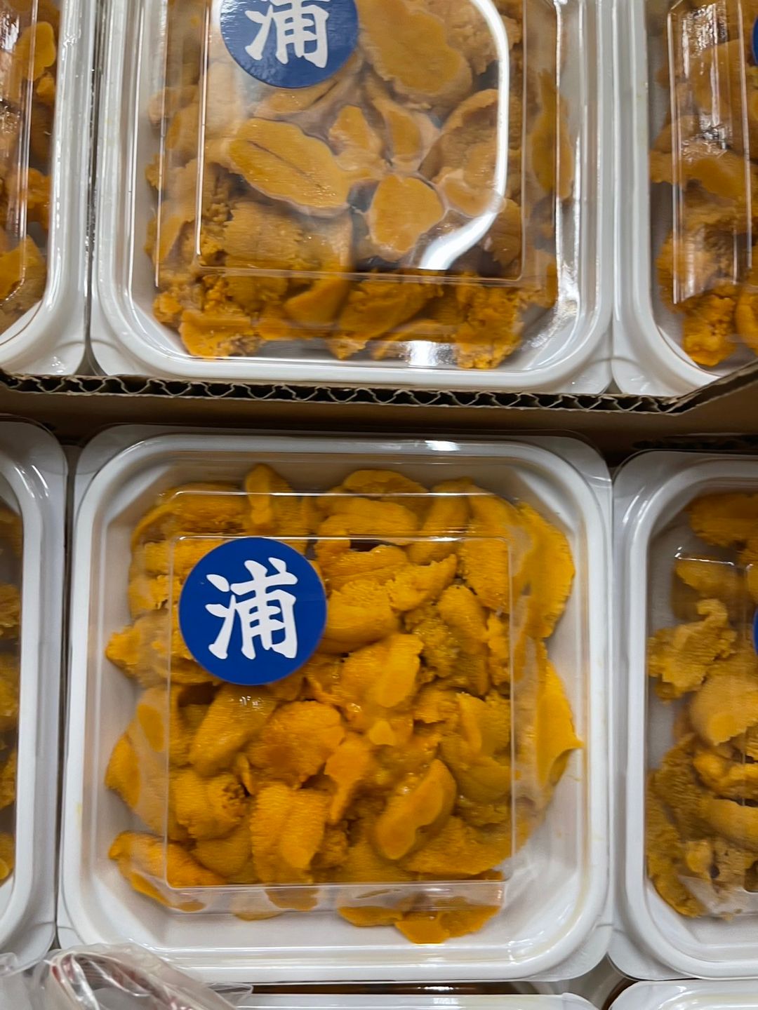 90g '馬糞雲丹' Bafun Uni