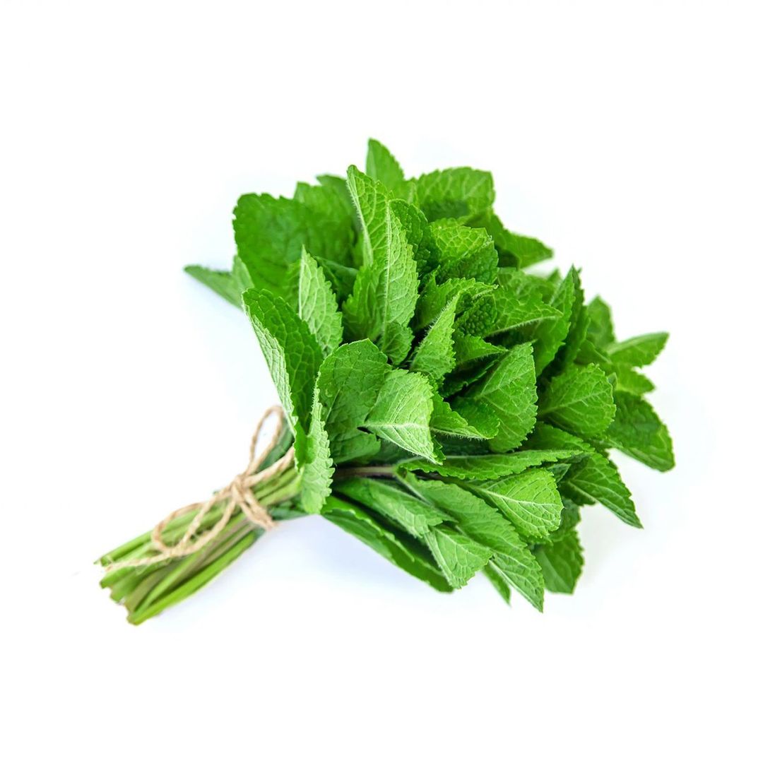 Daun Pudina (Mint Leaves)