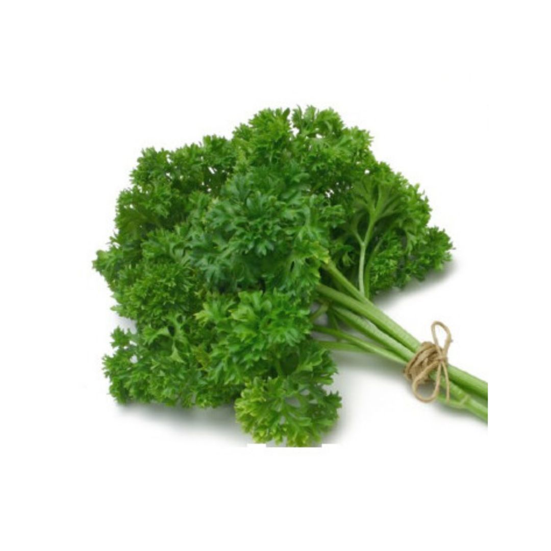 Daun Parsley