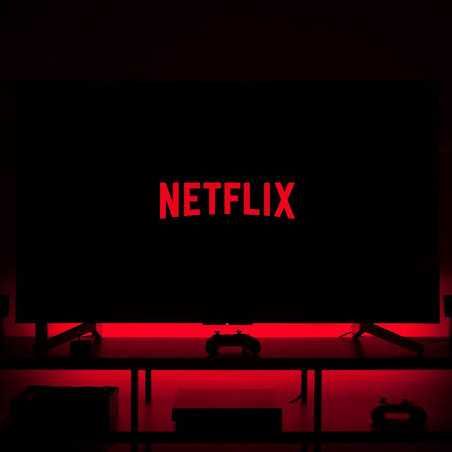 NETFLIX PREMIUM (SINGLE SCREEN)