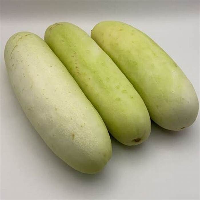 Concombre / Cucumber