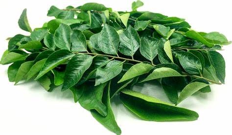 Curry leaves 