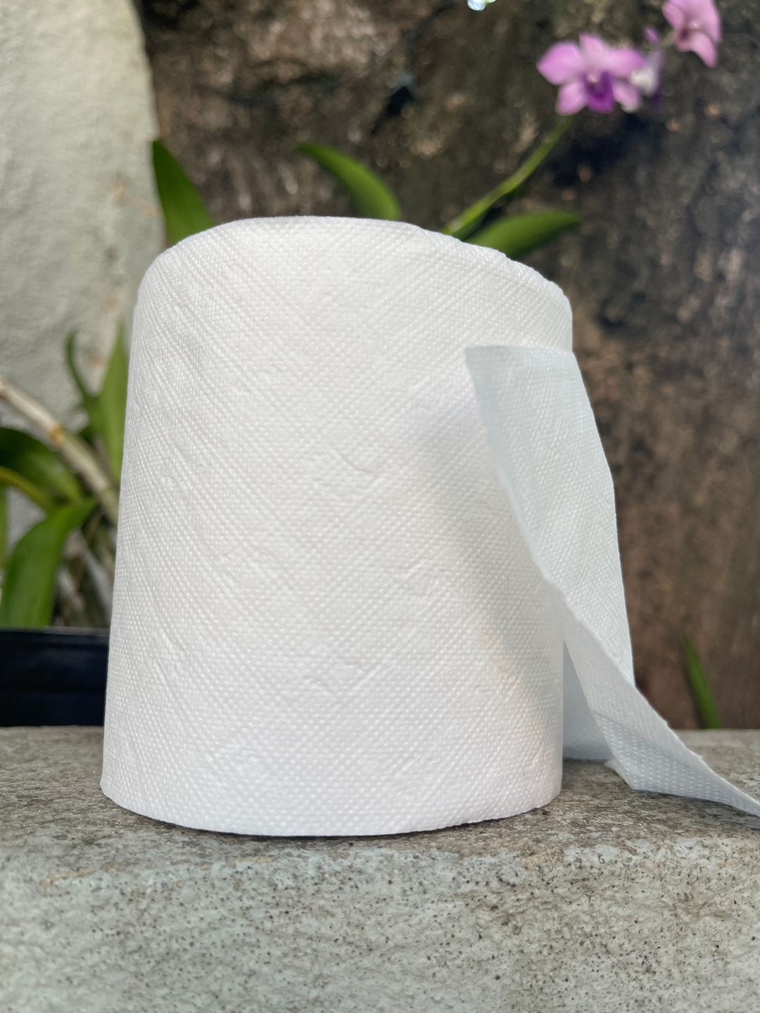 Papel de baño 