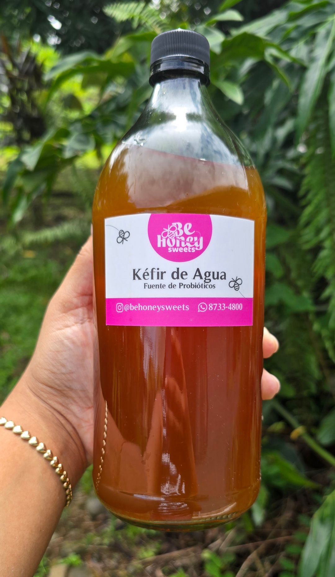 Keffir de Agua 1L botella de Vidrio