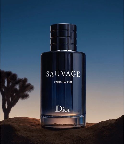 SAUVAGE DIOR