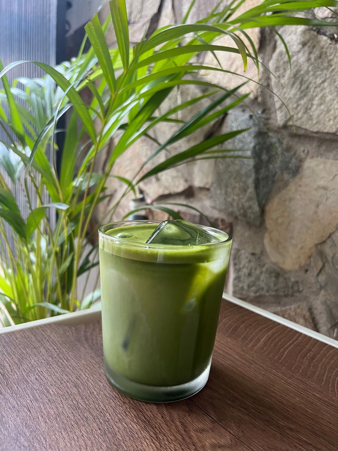 BOLD MATCHA LATTE - Hương Cỏ Cây Thanh Mát, Hậu Vị Chát Nhẹ