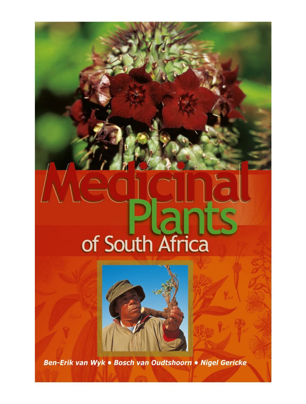 Medicinal Plants of South Africa