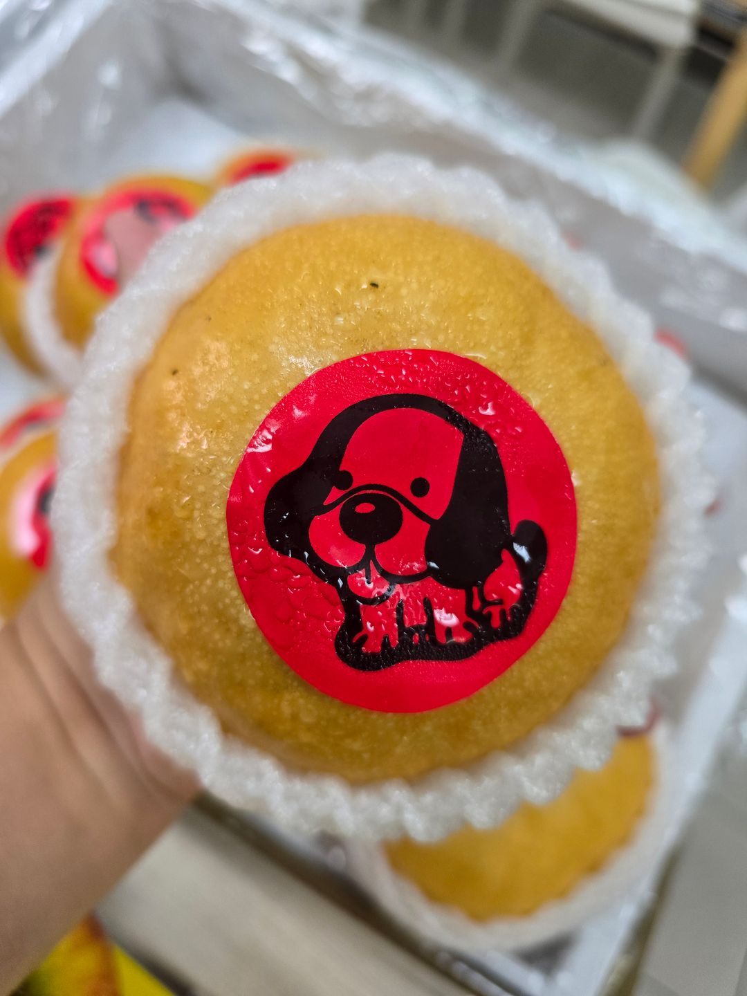 Asian Pear (4 for $10)