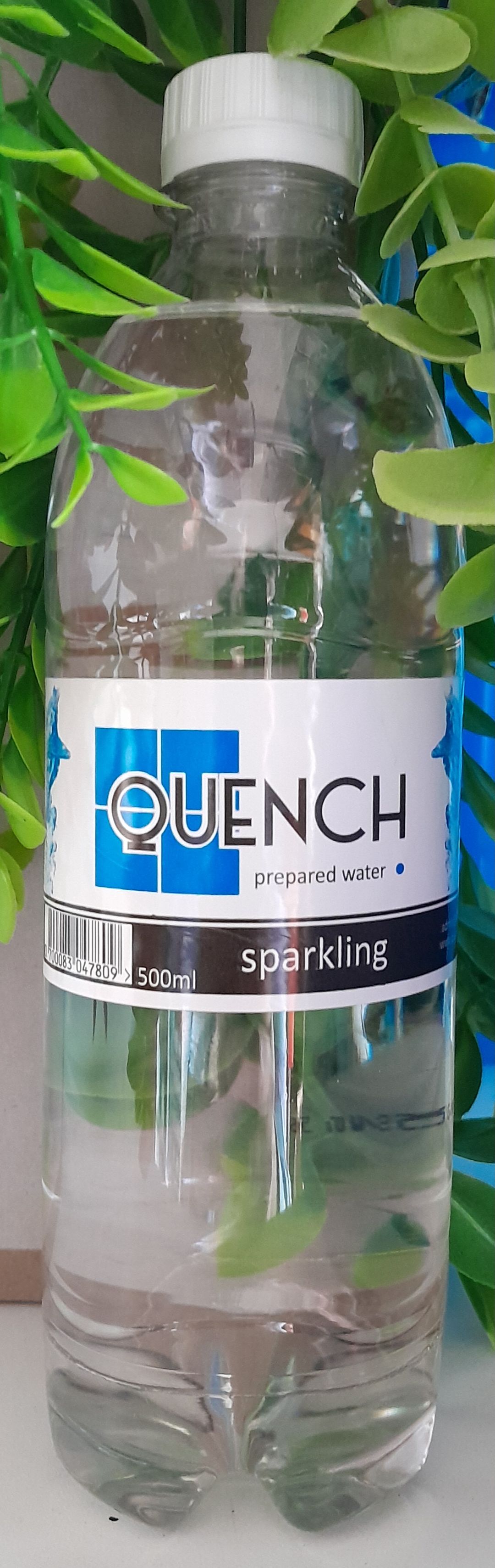 500ml Sparkling Water