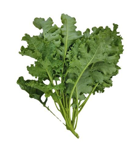 Meod Curly Kale (150 G)