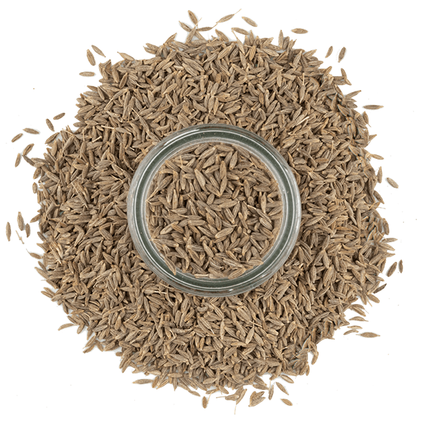 Bajra Cumin Seed (jeera) - 1kg