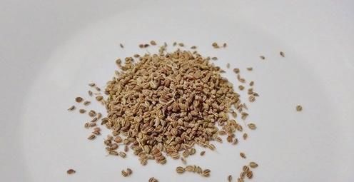 Bajra Thyme seed (Jwano), 200gm