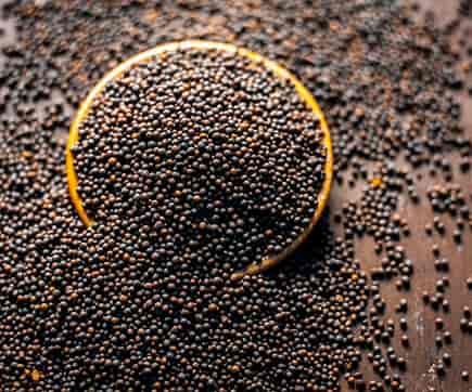 Bajra Black Mustard seed, 100gm