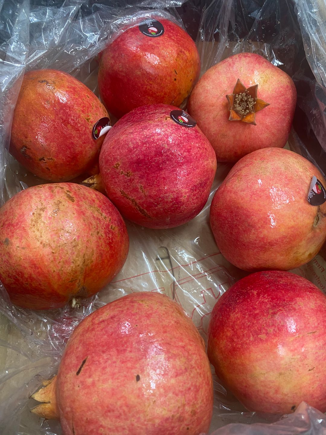 Egypt Pomegranate 