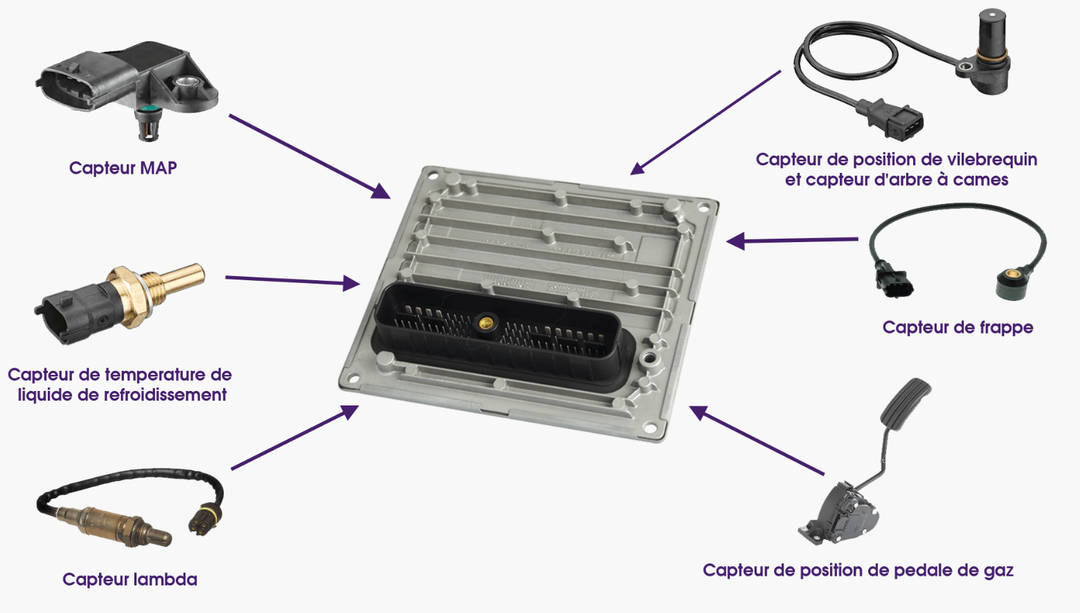 Capteur ECU (unité de contrôle électronique)