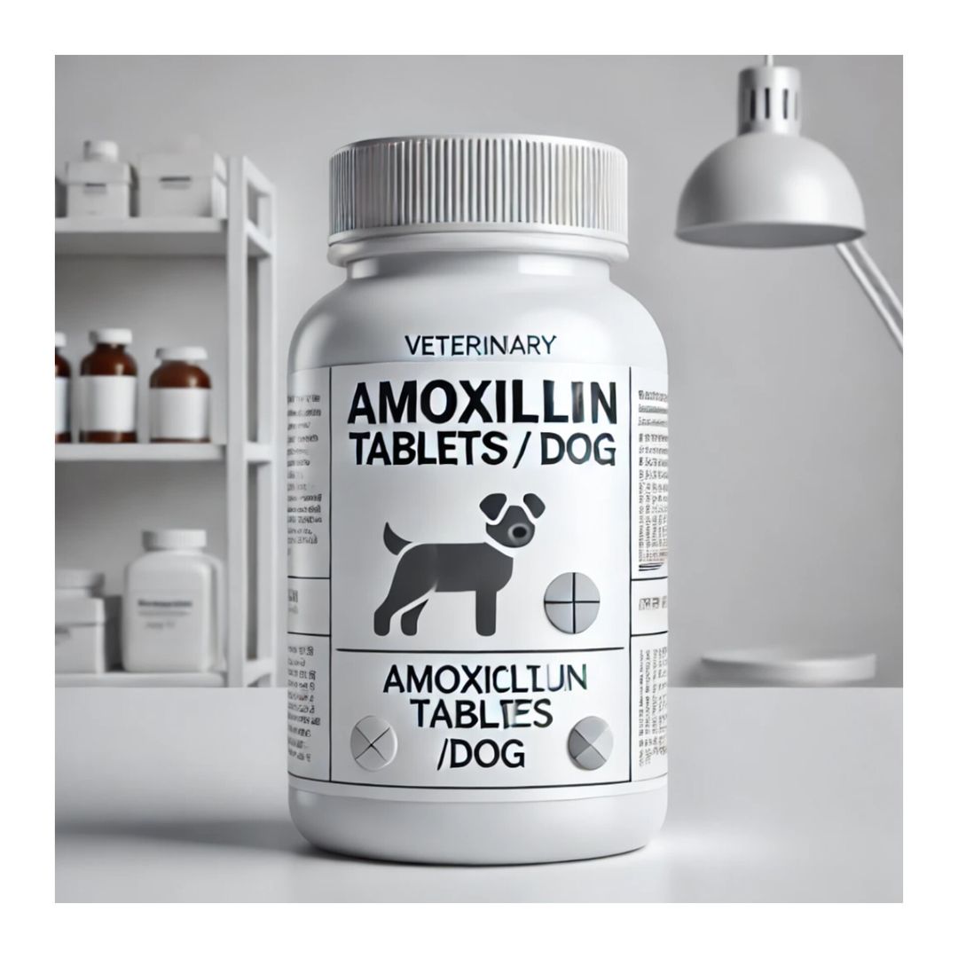 Amoxicillin (100 comprimés par boîte)