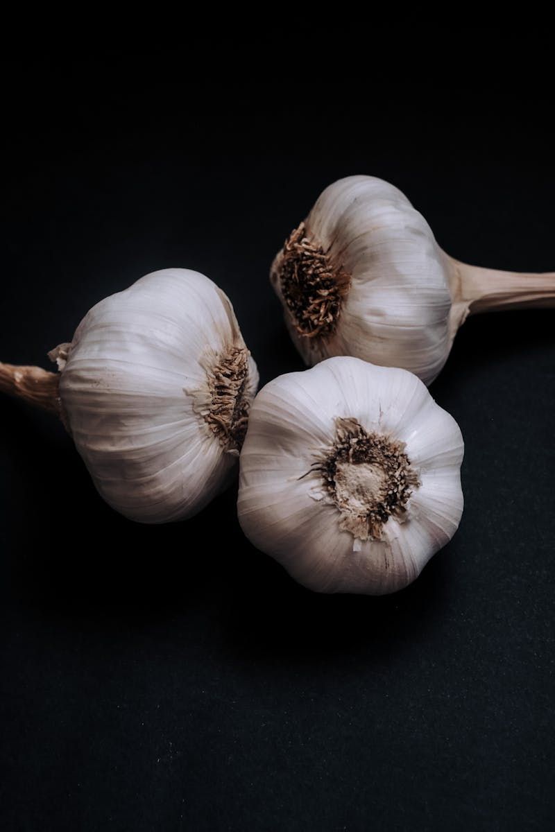 Garlic 