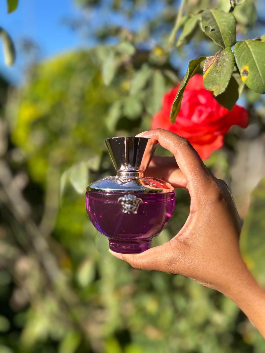 (Sold Out) Versace Dylan Purple EDP (100ml)