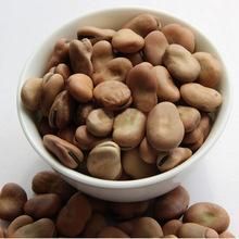 Tong Garden BBQ Broad Beans, 160gm Nut Can