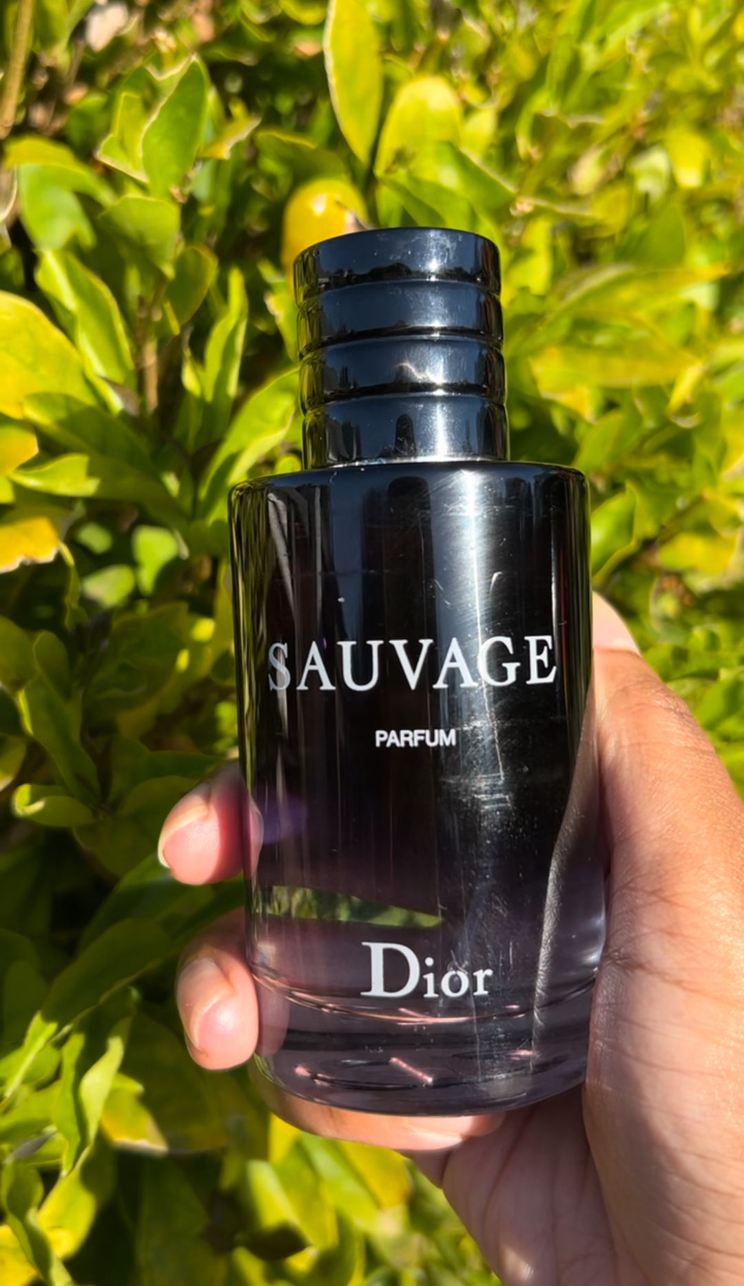 Dior Sauvage EDT (100ml)