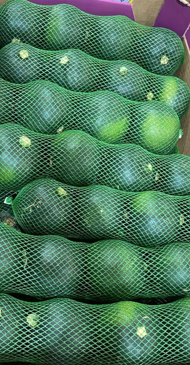 1KG GEM SQUASH