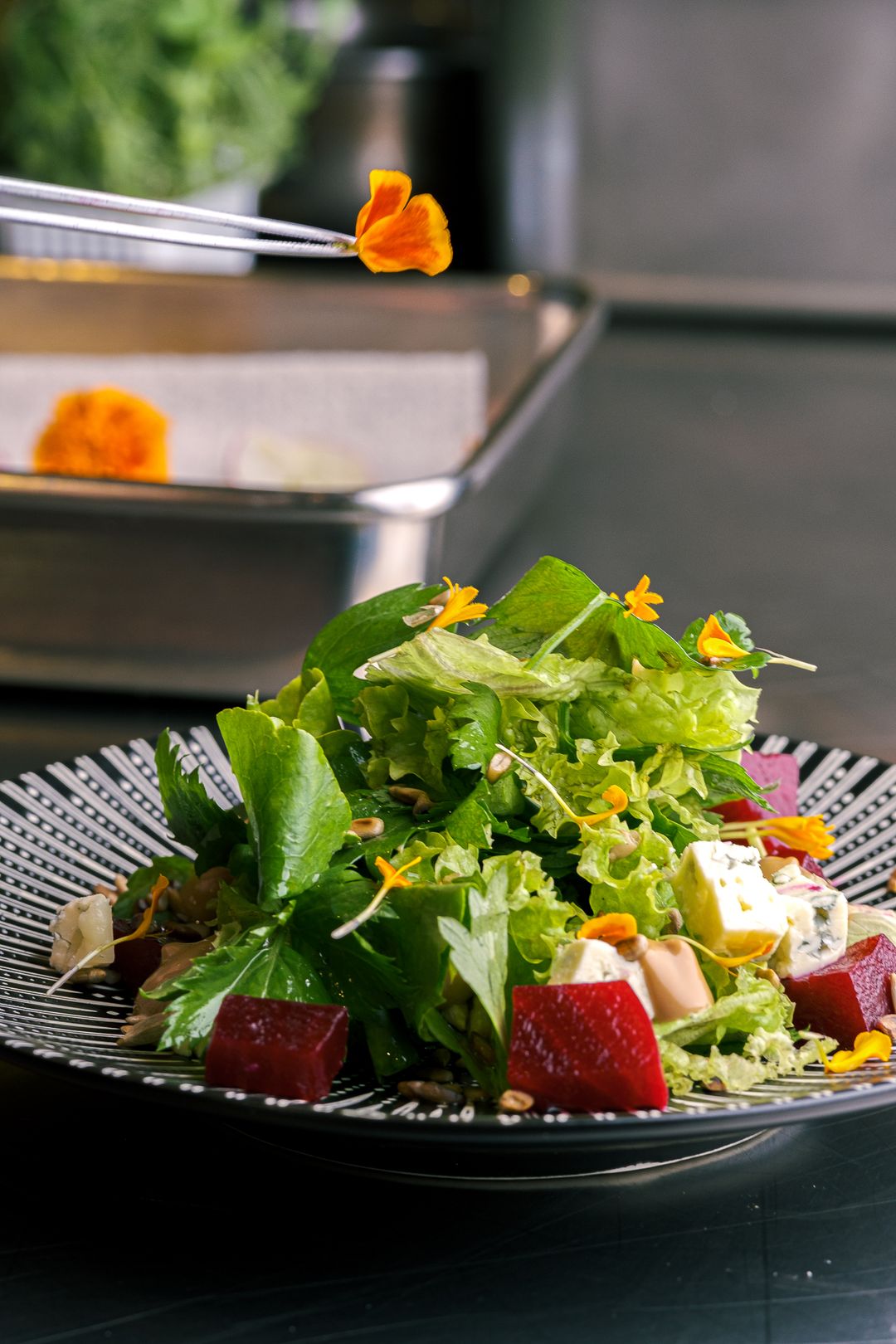 Assorted cheese and beets salad