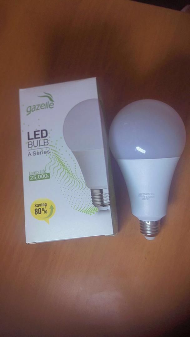 Gazelle LED A Bulbs - 7W (Screw, Daylight)