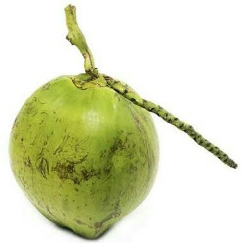 Fresh Green Coconut, 1pc