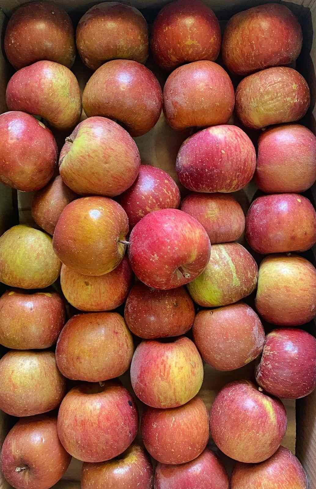 Apple ( From Jumla), 1kg