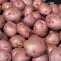 Red Potato (New, Naya Aloo), 1 KG