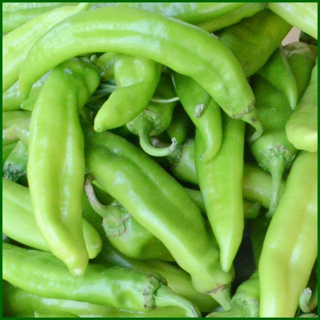 Macche Chilly (खुर्सानी हरियो - माछे), 250gm