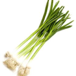 Green Garlic, 1 bunch, 250gm