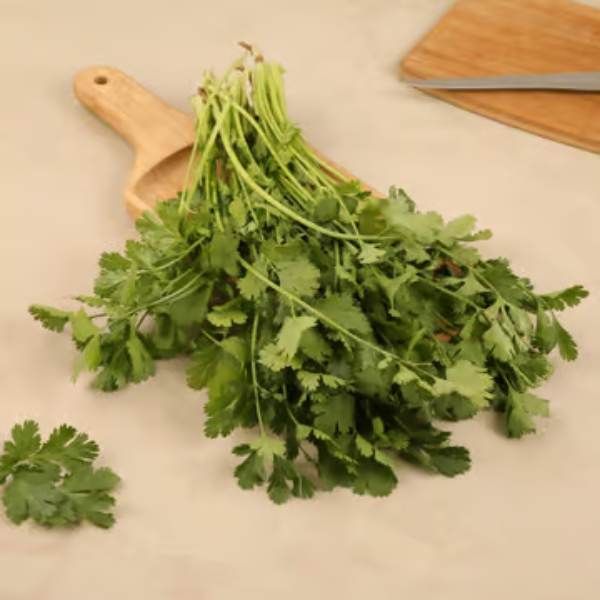 Green Coriander Leaves (Dhaniya patta), 1bunch ( 200gm)