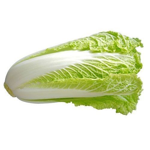 Chinese Cabbage, per kg