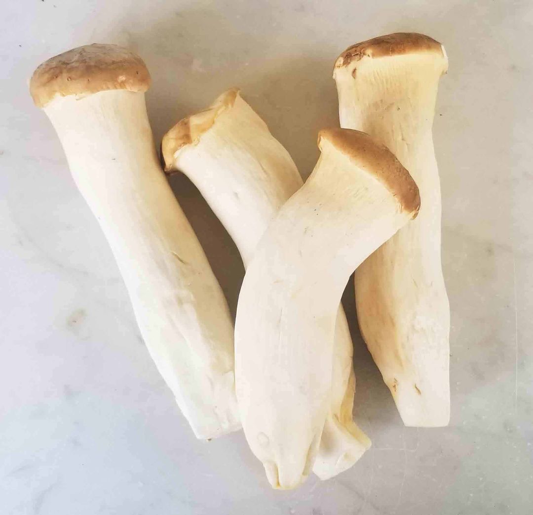 King Oyster Mushroom (च्याउ), 500 gms