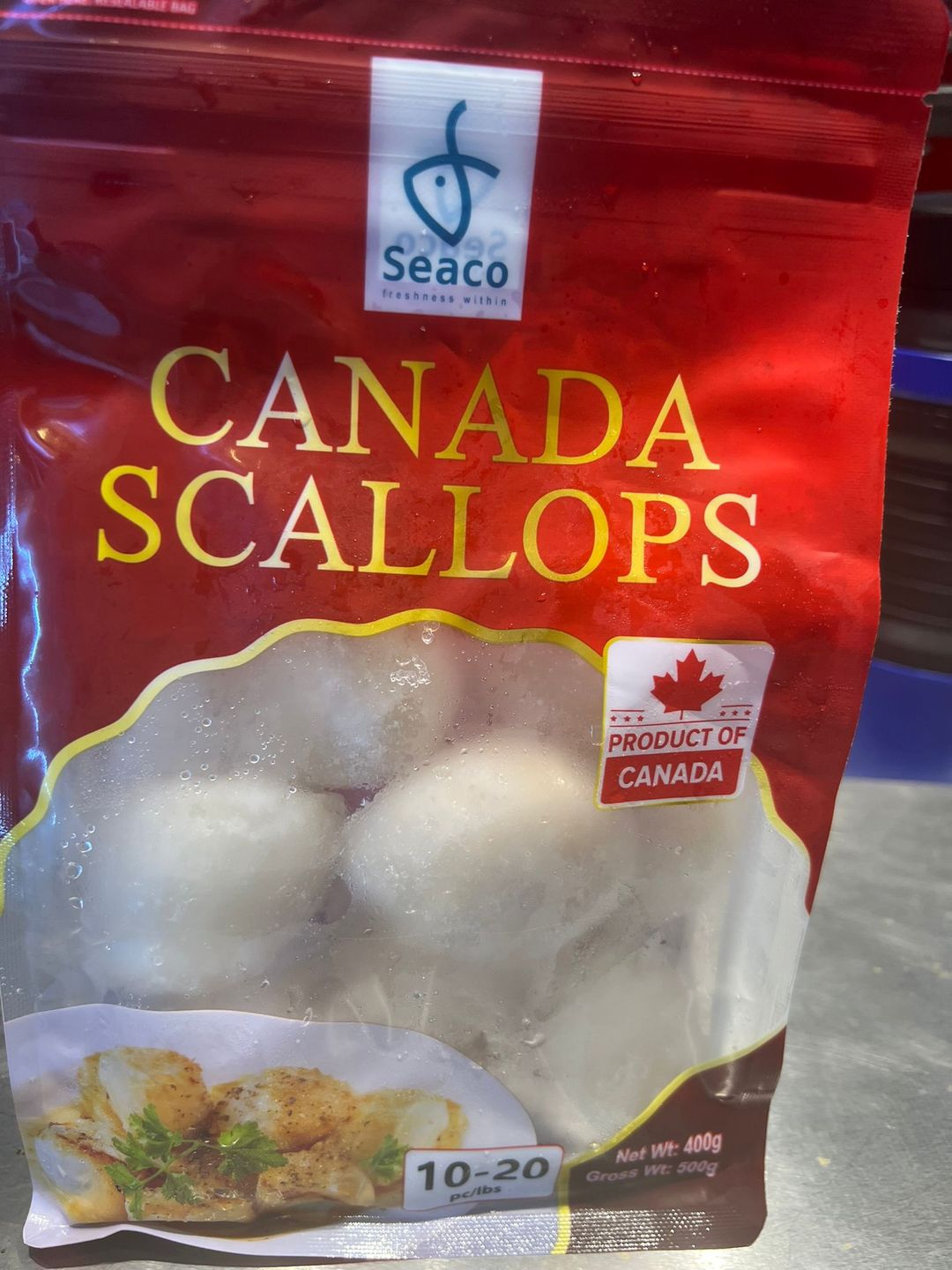 Canada Scallops加拿大带子 500g 10-20pcs