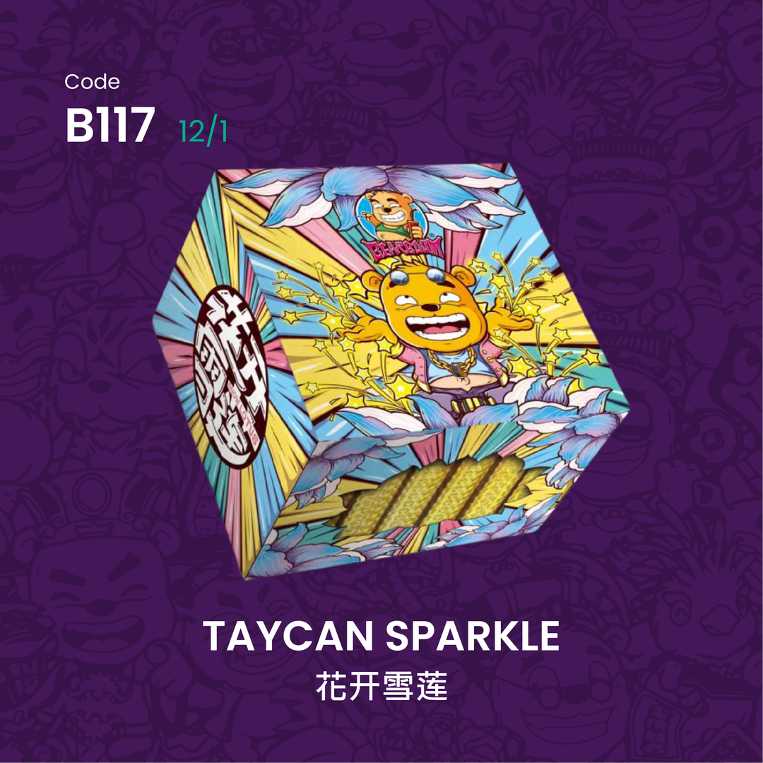 B117 | TAYCAN SPARKLE 花开雪莲