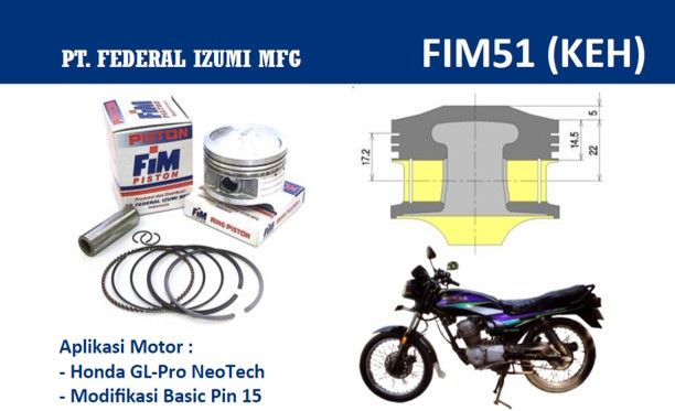 FIM51-100