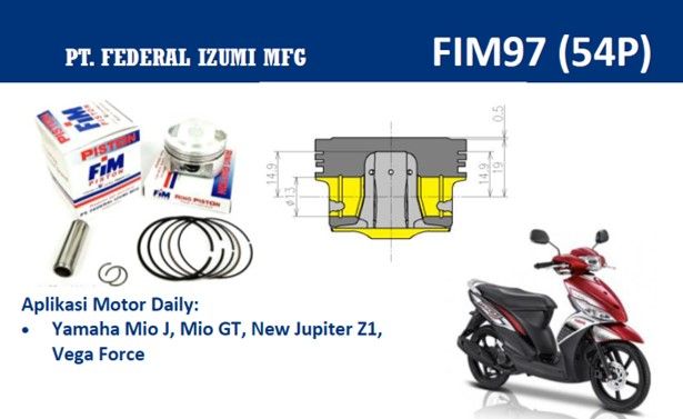 FIM97-300