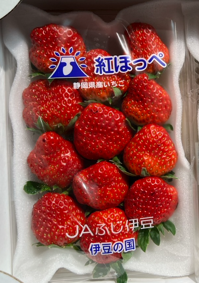 Strawberry Ichigo | 苺.静岡県 (Shizuoka Prefecture)