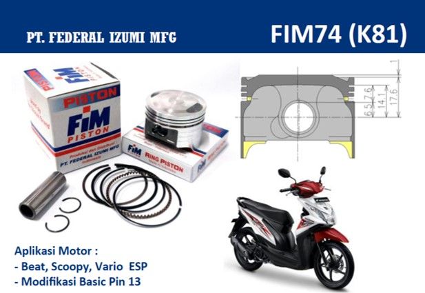 FIM74-250